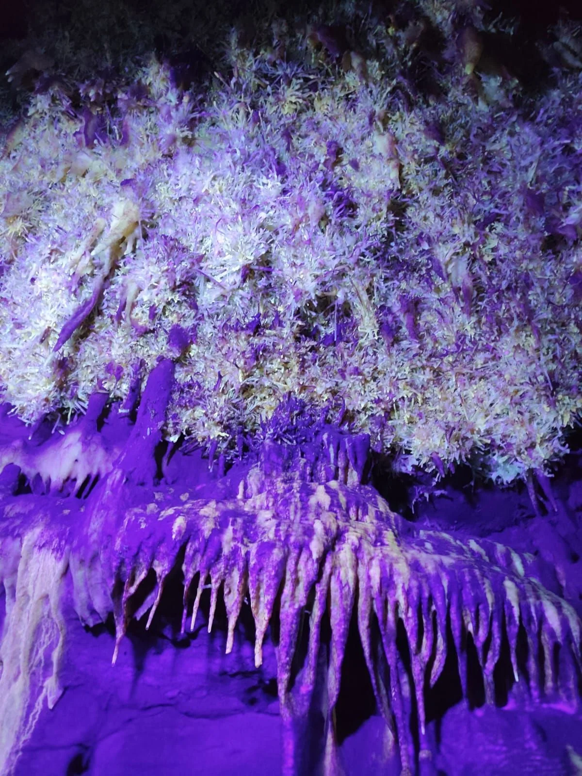 Grottes Maxanges jolie couleur violette